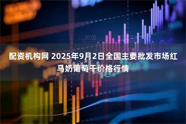 配资机构网 2025年9月2日全国主要批发市场红马奶葡萄干价格行情