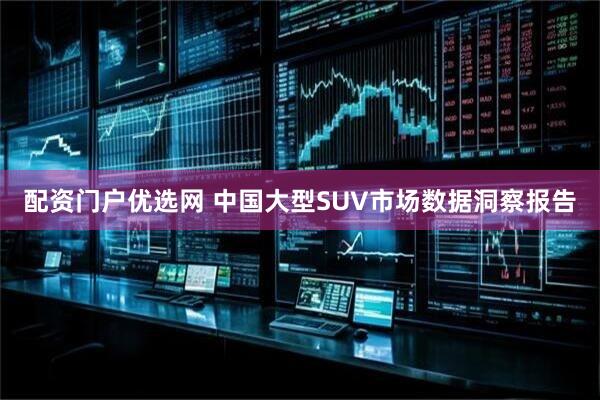 配资门户优选网 中国大型SUV市场数据洞察报告