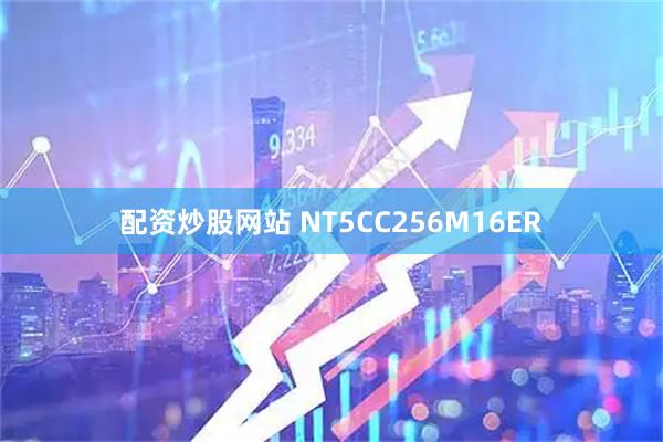 配资炒股网站 NT5CC256M16ER